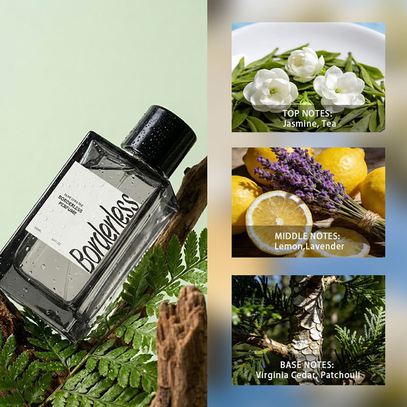 Элитный мужской парфюм без огр – обзор и цена Fragrance Long Lasting Perfume